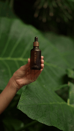 Blue Lotus Infused Moringa Oil