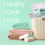 Natural Laundry Powder Fragrance-Free (60 Loads)