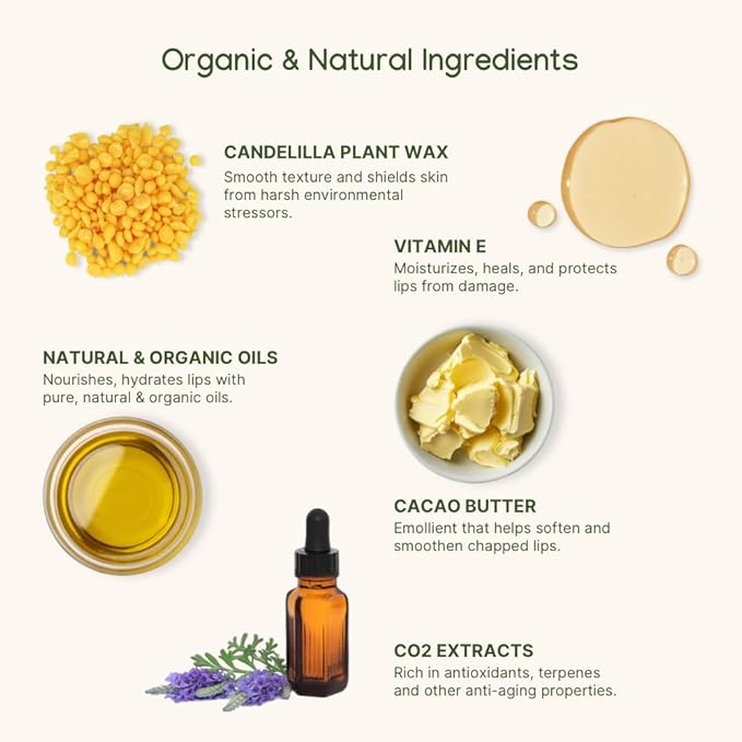 ILIKA 100% Natural Lip Balm - 2X Volume, Organic, Plastic-free, Vegan & Cruelty-Free, COSMOS Certified, PETA Certified, Plant-Based, 2 Pack, Ginger Lemon & Almond Cardamom Rose - 0.3 oz each