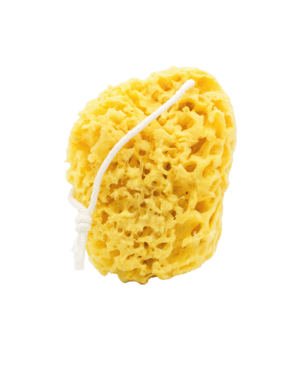 Mineral Sea Sponge