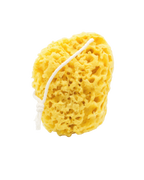 Mineral Sea Sponge