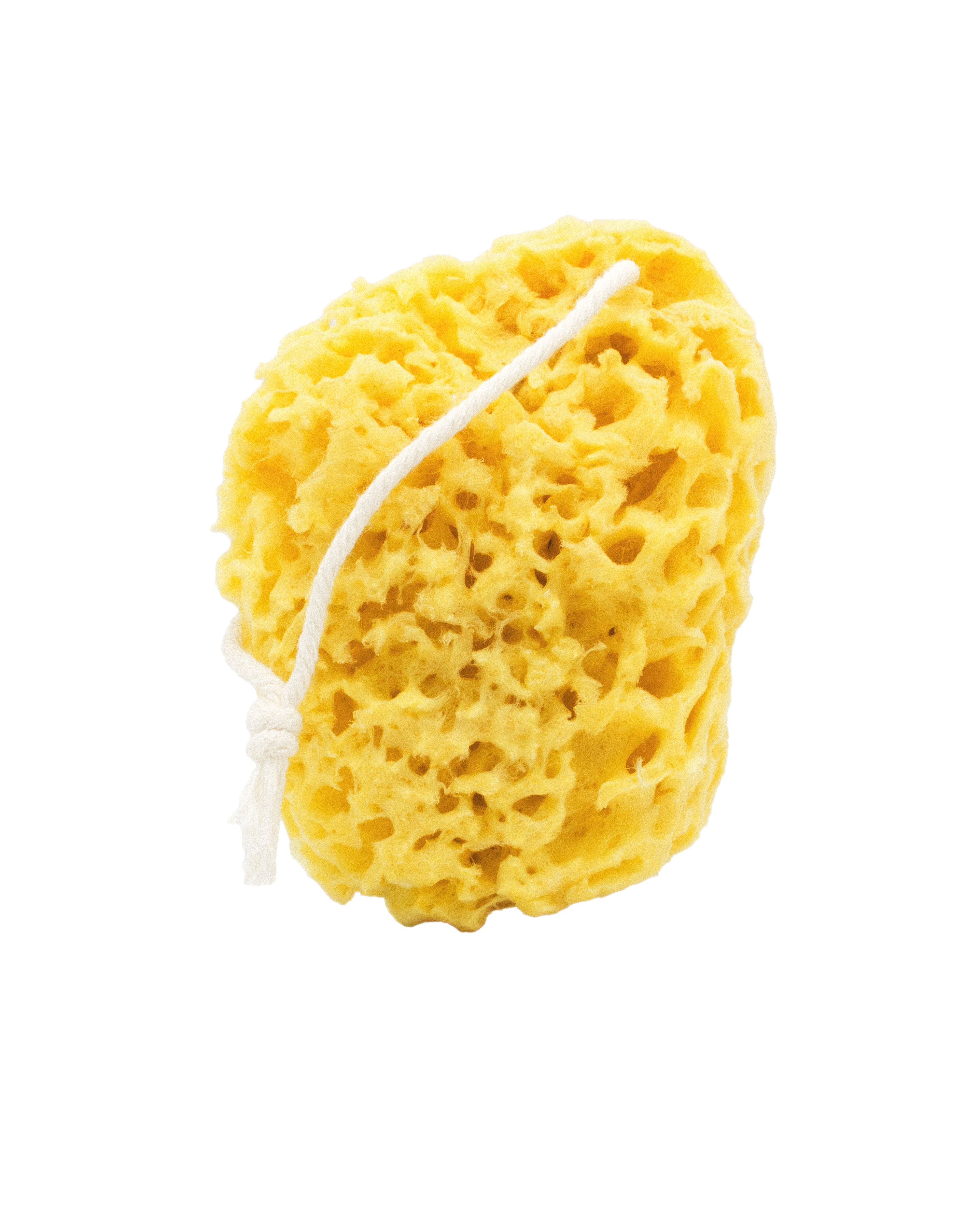 Mineral Sea Sponge