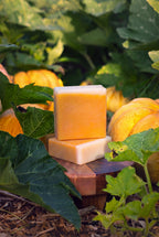 Bar Soap | Pumpkin Harvest