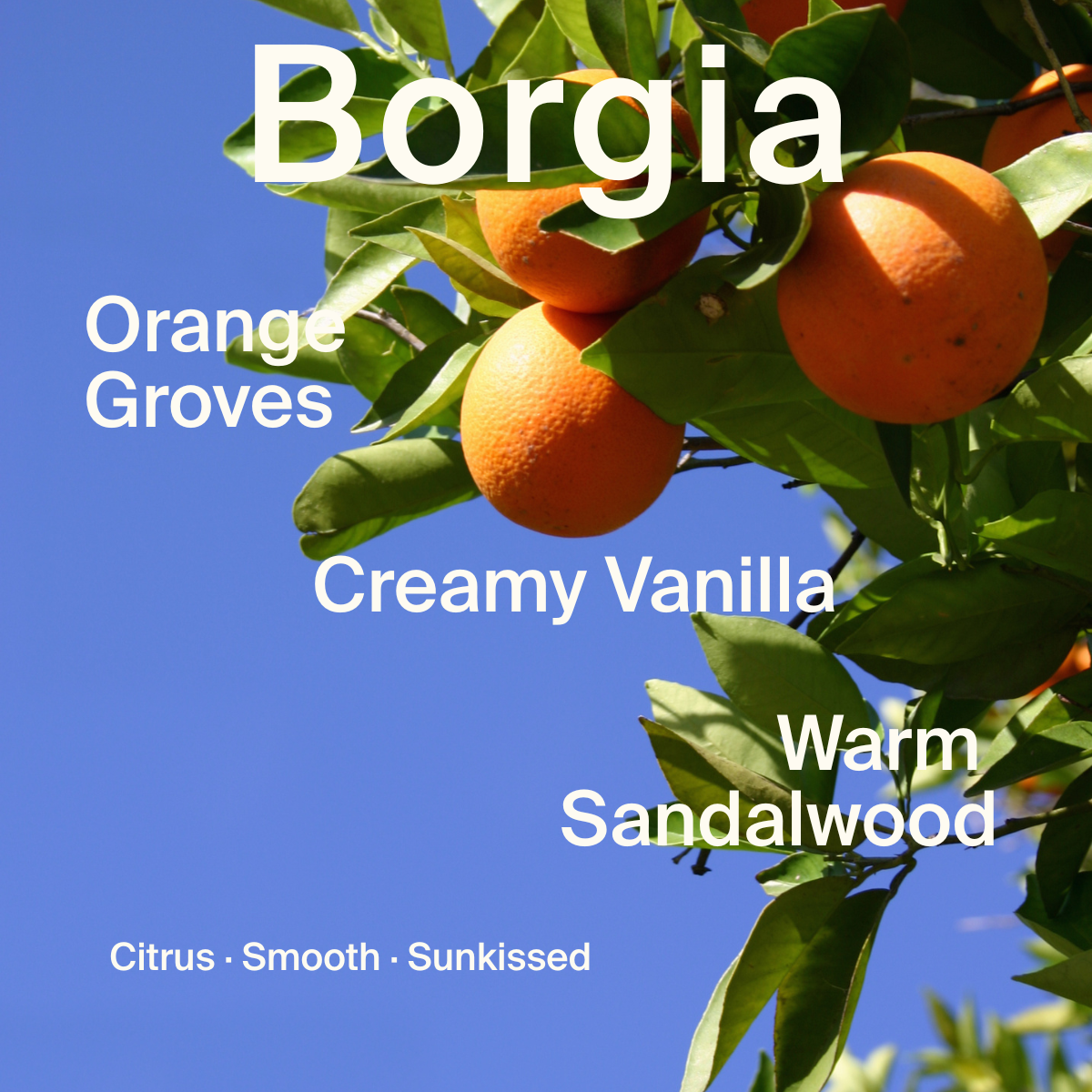 Botanical Body Oil