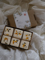 Shower Steamers - Citron Set