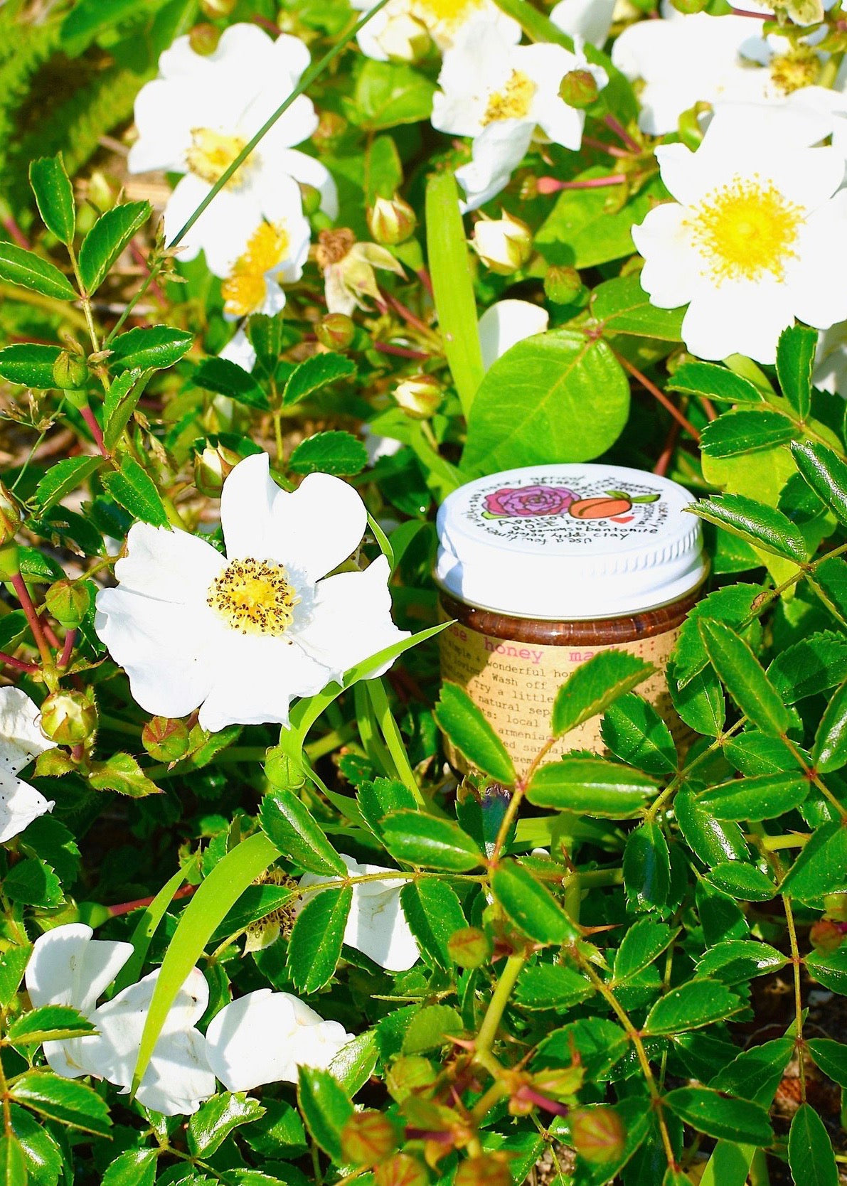 Apricot Rose Scrub Mask