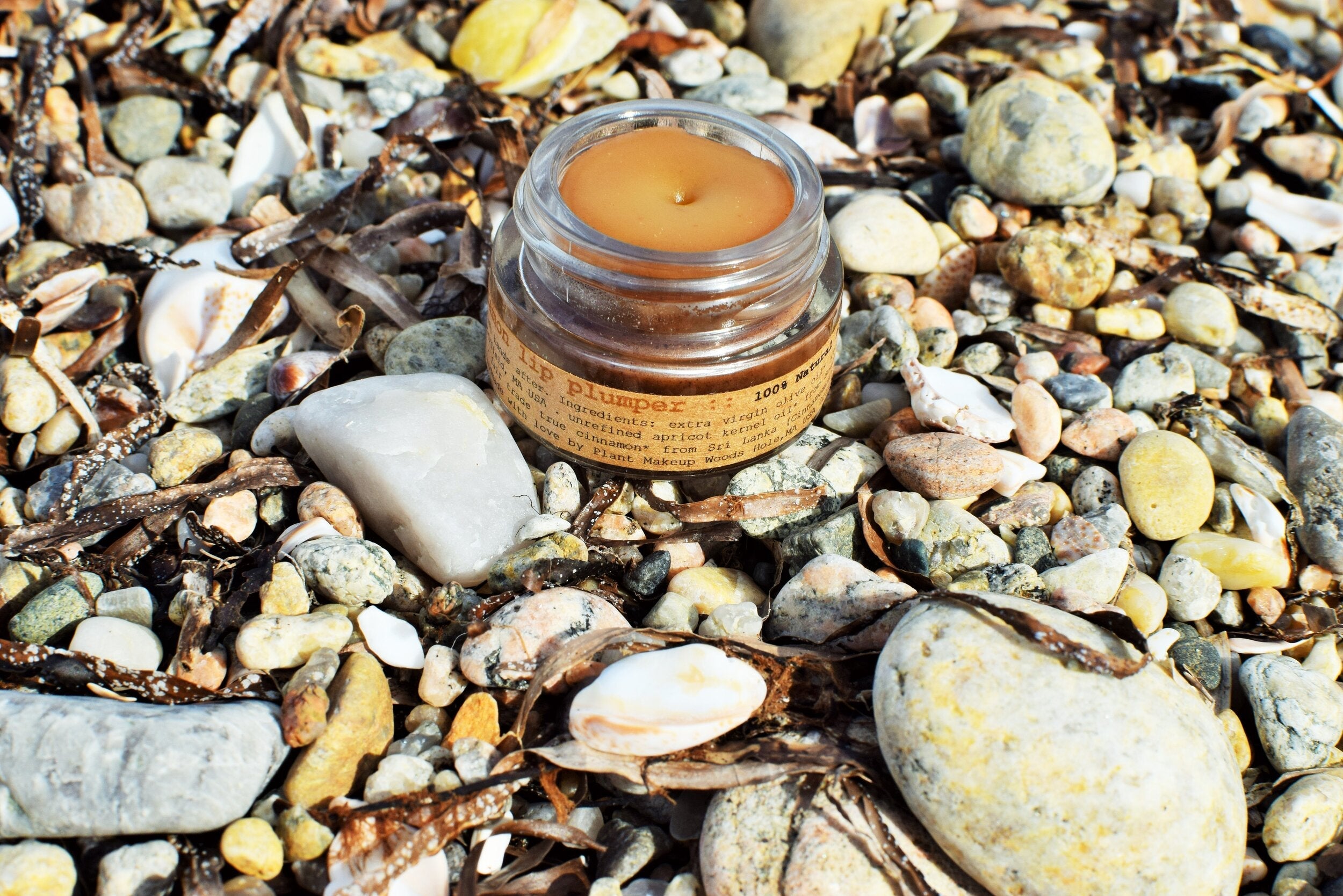 Cinnamon Lip Plumper