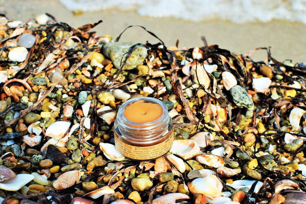 Cinnamon Lip Plumper