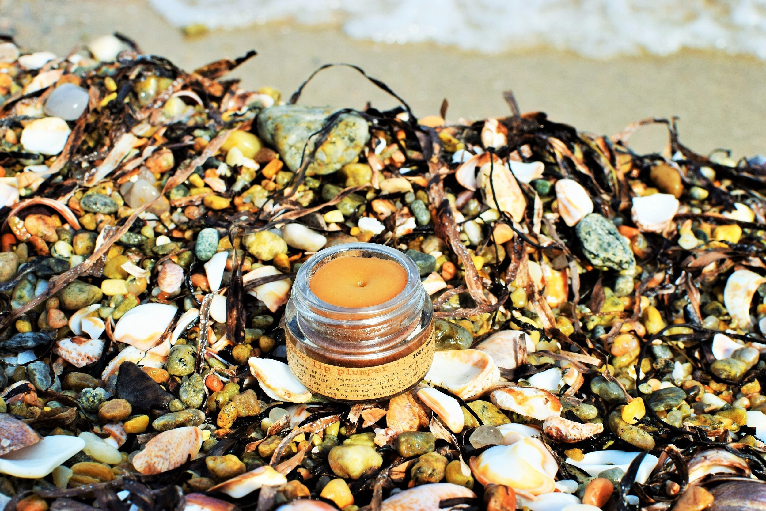 Cinnamon Lip Plumper