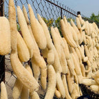 Natural Loofah Sponge