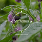 Bamboo Hyaluronic Loose Setting Powder