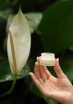 Lavender Hydrating + Clarifying Cream