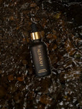 French Lavender Oil