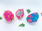 Beeswax Wrap Bulk Roll - Dragonfruit Print