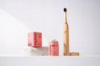 Kaylaan Bamboo Electric Toothbrush