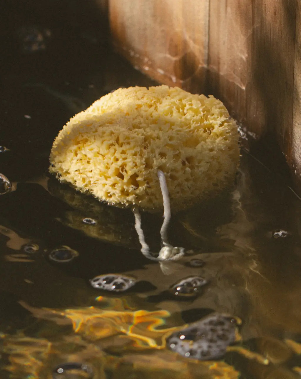 Mineral Sea Sponge