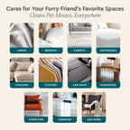 Pet Stain & Odor Remover