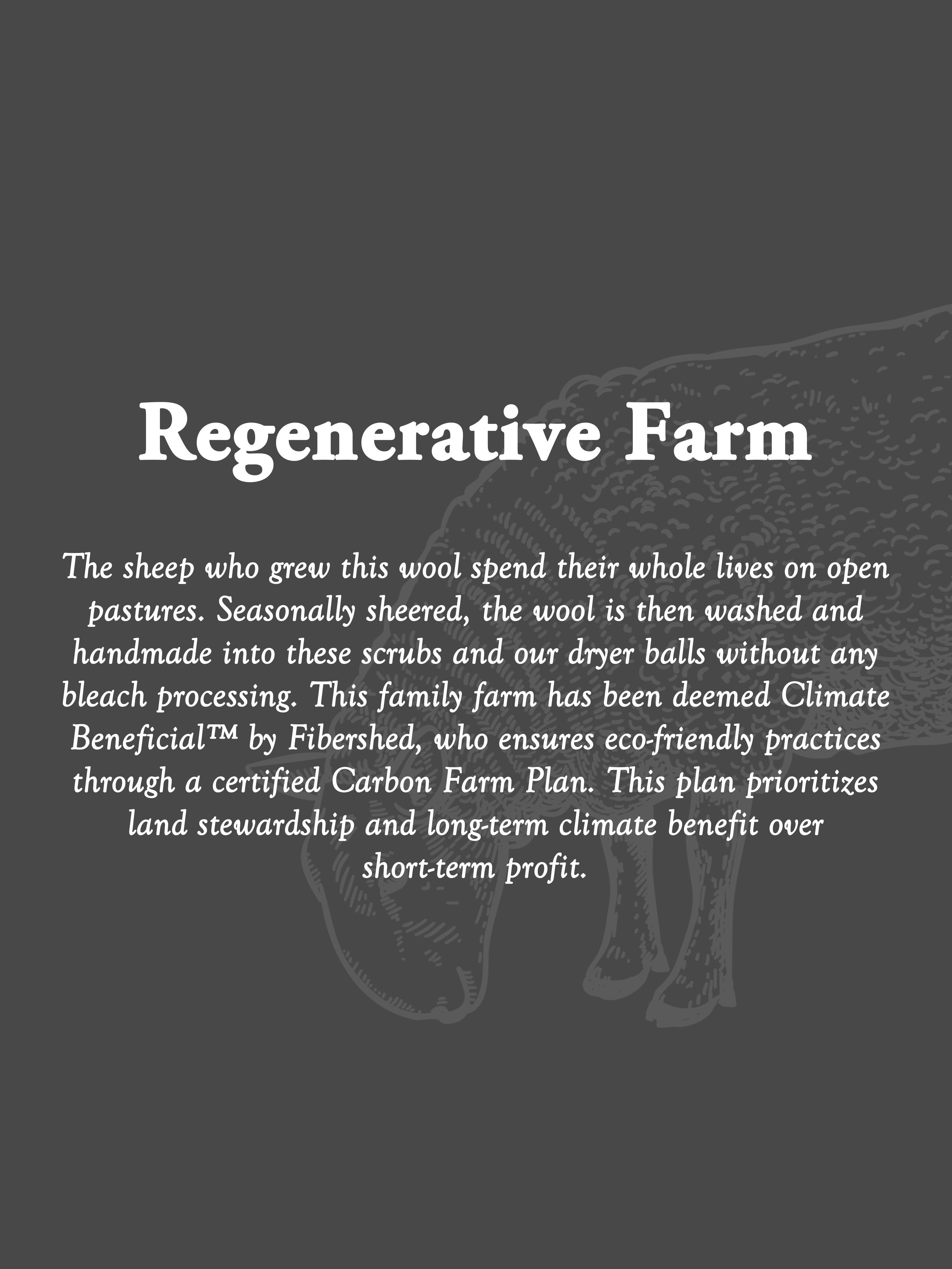 Sustainable Wool Scrub