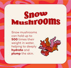 Fungdation - Reishi Mushroom Foundation