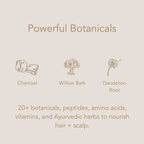 Detox Shampoo