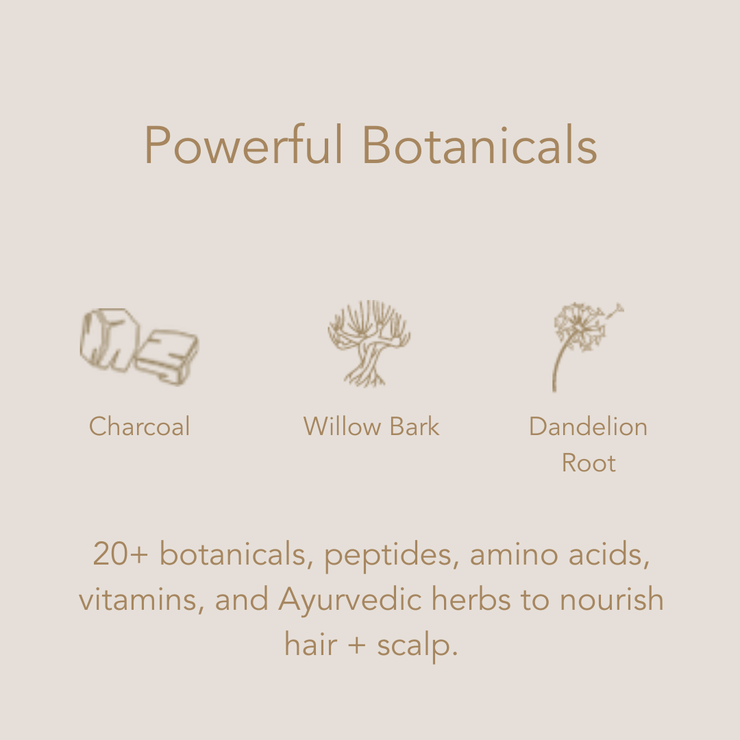 Detox Shampoo