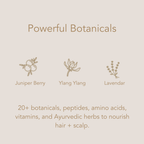 Heal Ritual Box Set (Limited Edition)