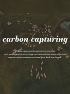 Jumbo Wool Dryer Balls ( 3 pack )