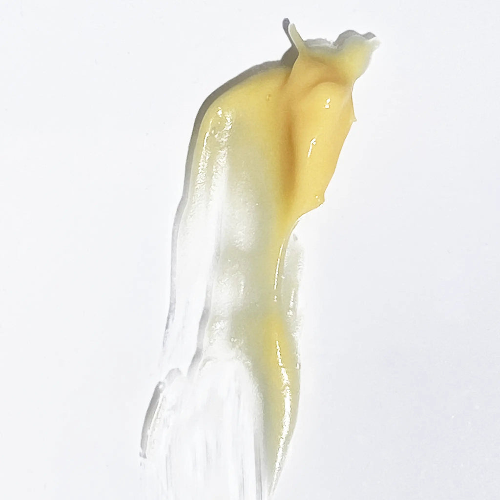 Bakuchiol Night Repair Cream Bakuchiol 1% + Retinyl Palmitate .3% + Hyaluronic acid + Ceramides