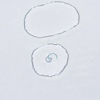 Barcola Azzurro Mare Replenishing Elixir with Hyaluronic acid + Niacinamide 5% + Sea kelp bioferment