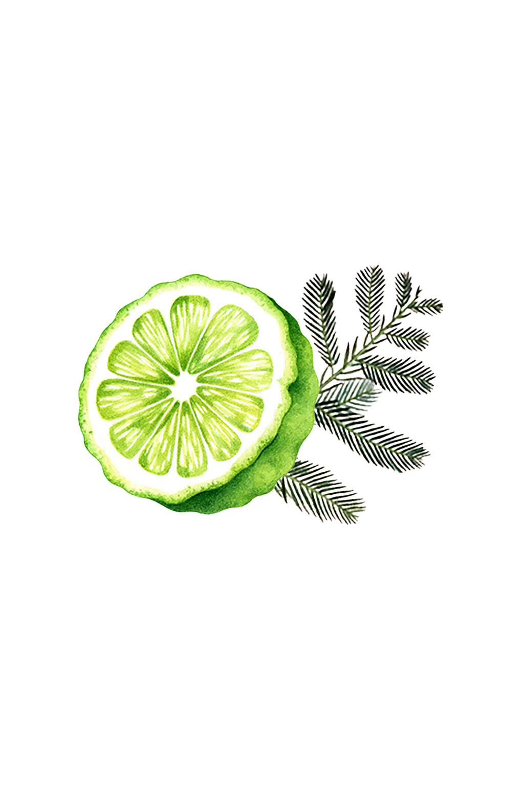 Bergamot & Cypress Essential Oil Blend