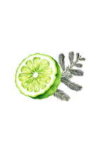 Bergamot & Cypress Essential Oil Blend