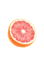 Dish Soap | Pink Grapefruit