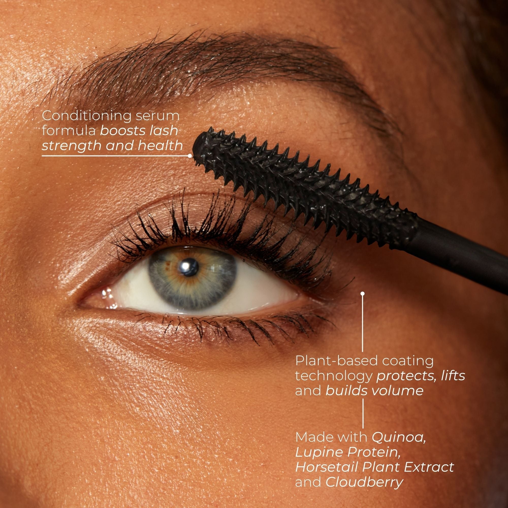 Lash Care Mascara