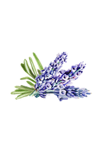 Lavender & Rosemary Essential Oil Blend