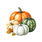 Pumpkin Harvest Phthalate-Free Fragrance Oil