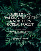 Body Bar Charlevoix Boreal Forest Blend